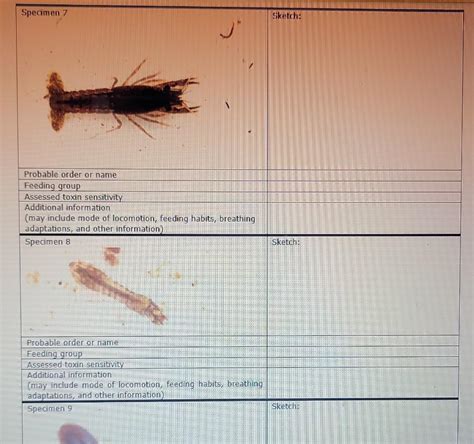 why are macroinvertebrates good indicators of water quality